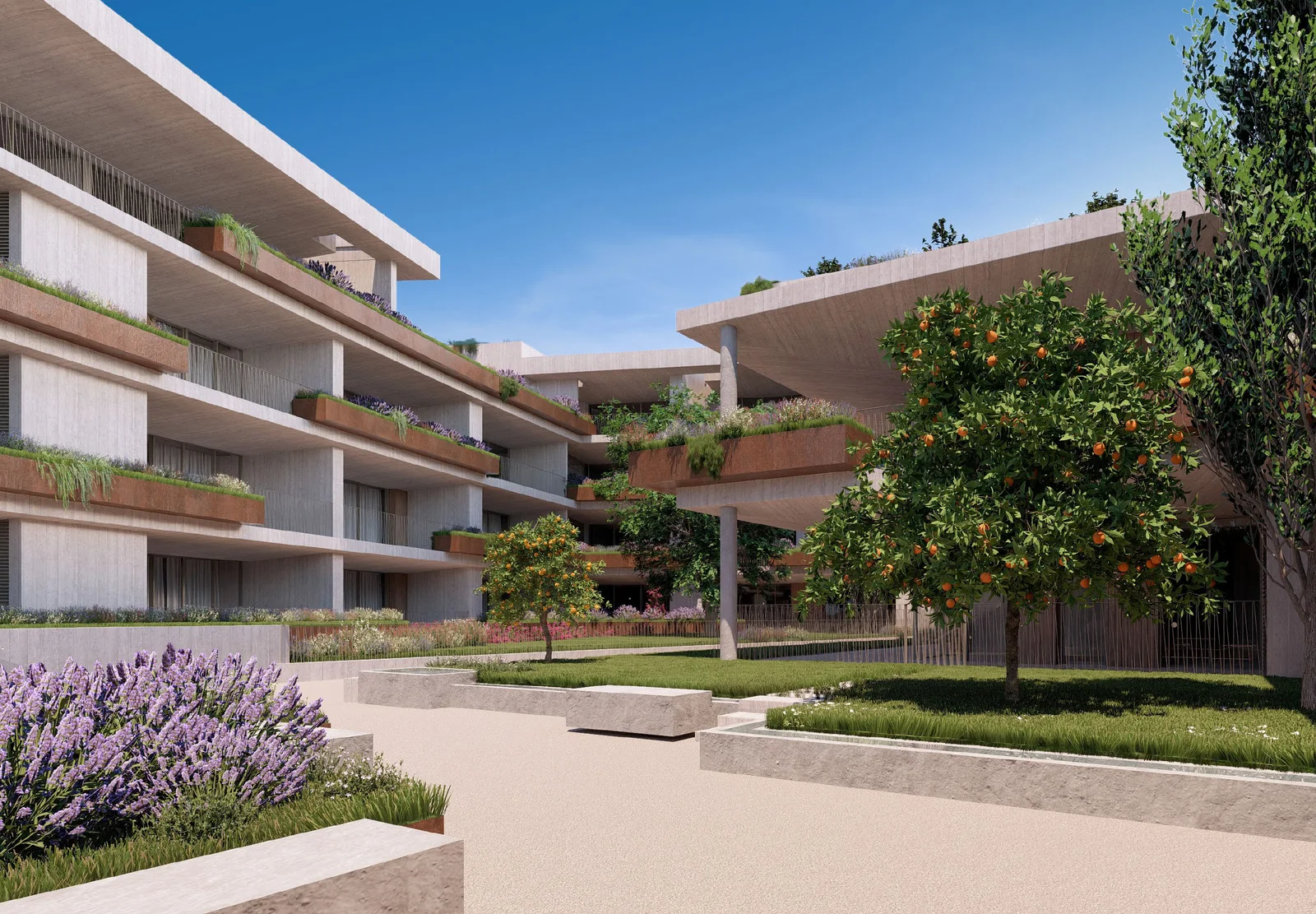 Garden courtyard with orchard trees and planted terraces